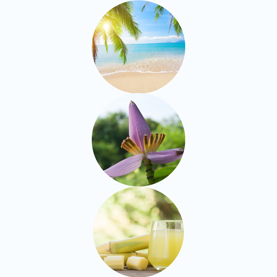 Silk Body Oil